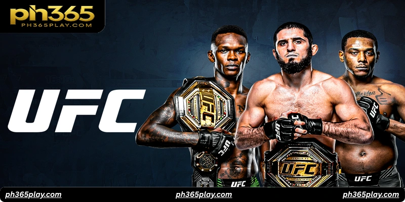 UFC Boxing